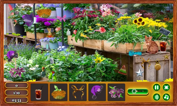 Screenshot from Hidden Flowers