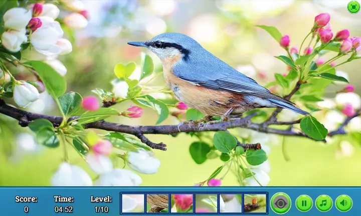 Snimak ekrana iz igre Hidden Spots: Birds